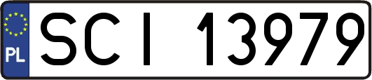 SCI13979