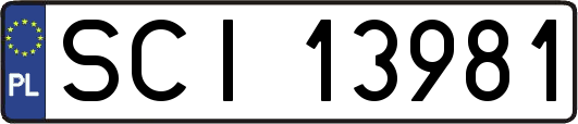 SCI13981