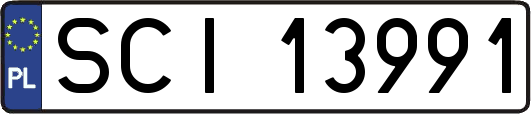 SCI13991