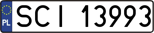 SCI13993