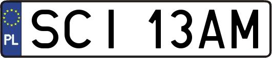 SCI13AM