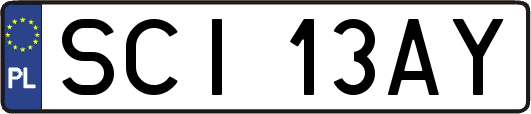 SCI13AY