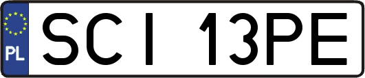 SCI13PE