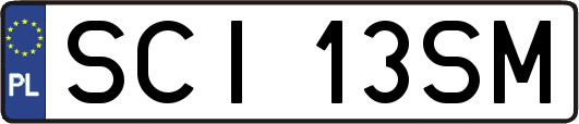 SCI13SM