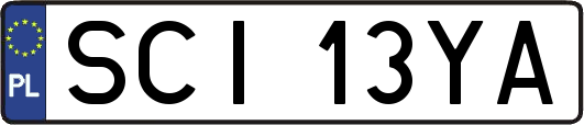 SCI13YA