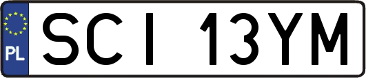 SCI13YM