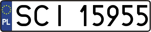 SCI15955