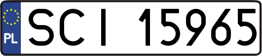 SCI15965
