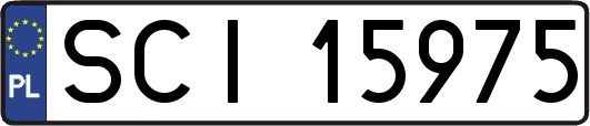 SCI15975