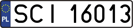 SCI16013