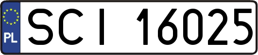 SCI16025