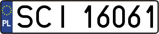 SCI16061