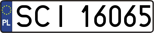 SCI16065