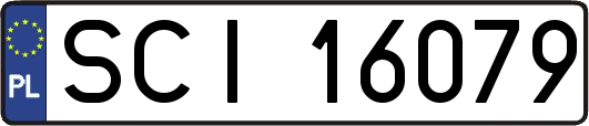 SCI16079
