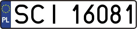 SCI16081
