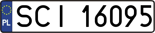 SCI16095