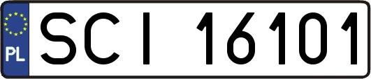 SCI16101
