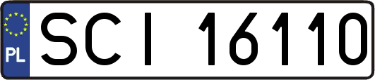 SCI16110