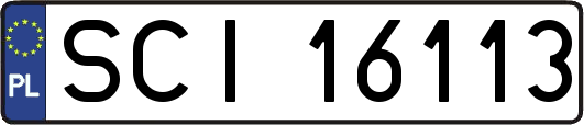 SCI16113