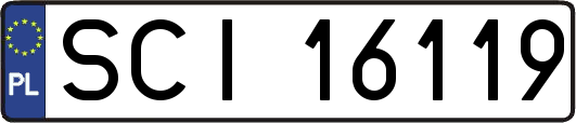 SCI16119