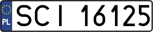 SCI16125