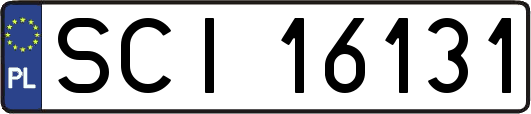 SCI16131