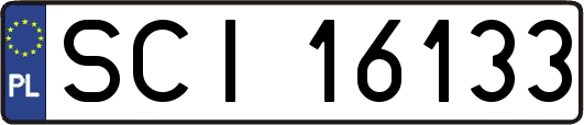 SCI16133
