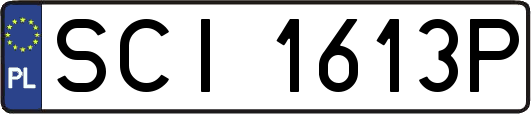 SCI1613P