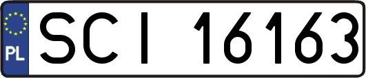SCI16163
