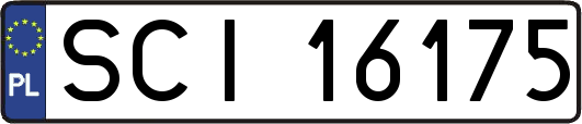 SCI16175
