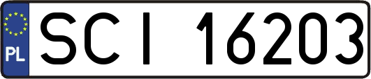 SCI16203