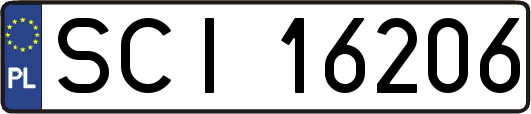 SCI16206