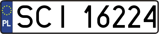 SCI16224