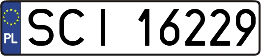 SCI16229