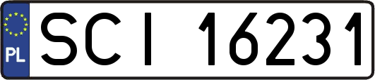 SCI16231