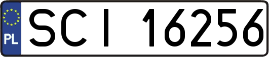 SCI16256