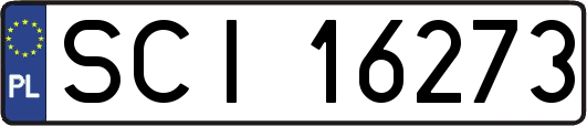 SCI16273