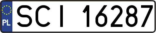 SCI16287