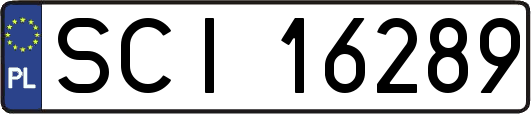SCI16289