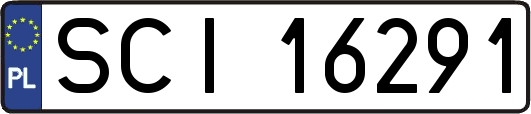 SCI16291