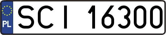 SCI16300