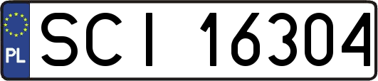 SCI16304