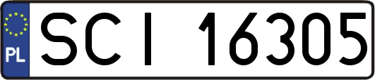 SCI16305