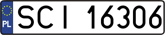 SCI16306