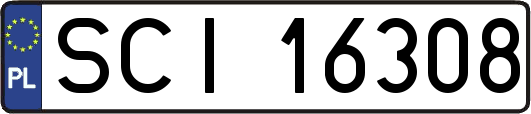 SCI16308