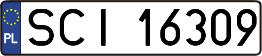 SCI16309
