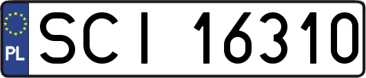 SCI16310
