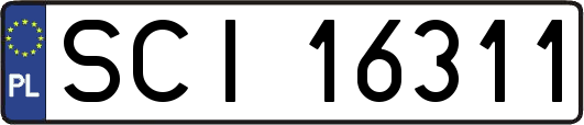SCI16311