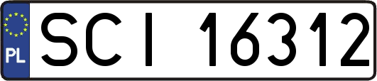 SCI16312