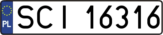 SCI16316
